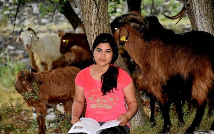 Liseli Melek hem çobanlık yapıyor hem okuyor