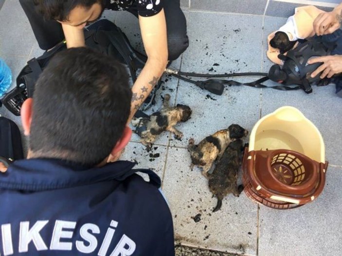 İtfaiye erleri 7 yavru köpeği yanmaktan kurtardı