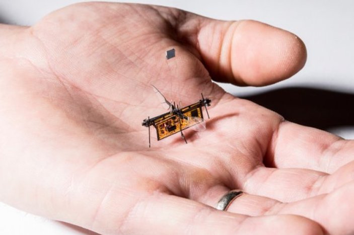 Kürdan ağırlığında robot böcek