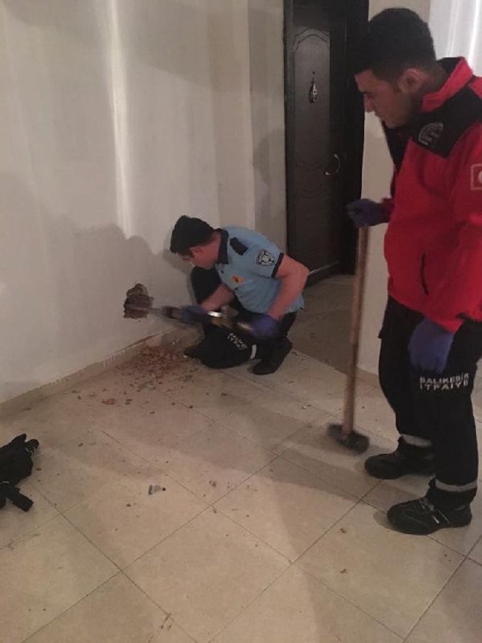 Asansör boşluğuna düşen kedi, duvar kırılarak kurtarıldı