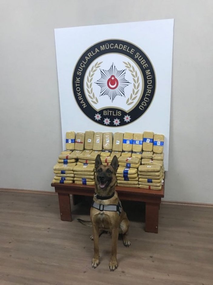 Narkotik köpeği 4.5 milyon değerinde uyuşturucu buldu