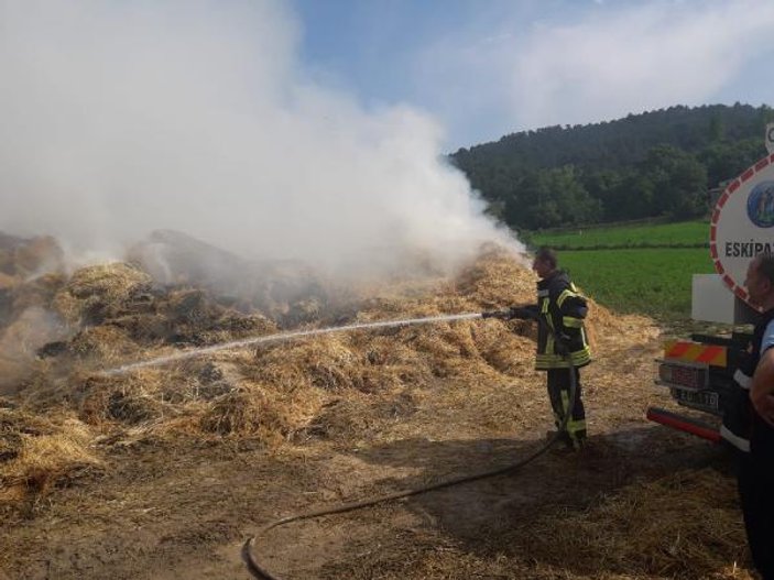Samanlığı yıldırım düştü: 10 ton saman yandı