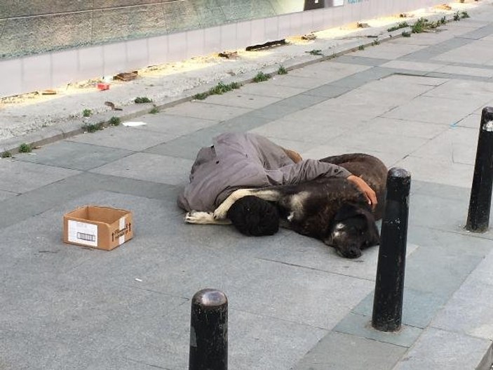Taksim'de köpeğine sarılarak uyuyan çocuk yürek sızlattı