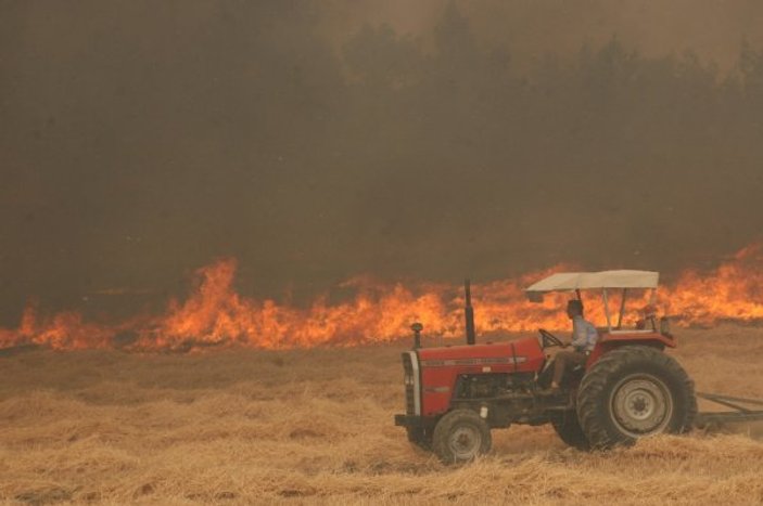 Denizli'deki yangında 100 hektarlık alan zarar gördü