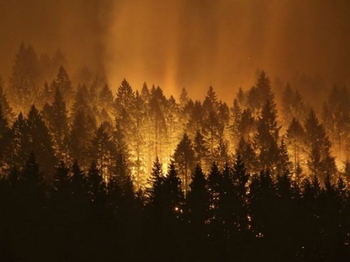 ABD'de orman yangını çıkartana 36 milyon dolar ceza