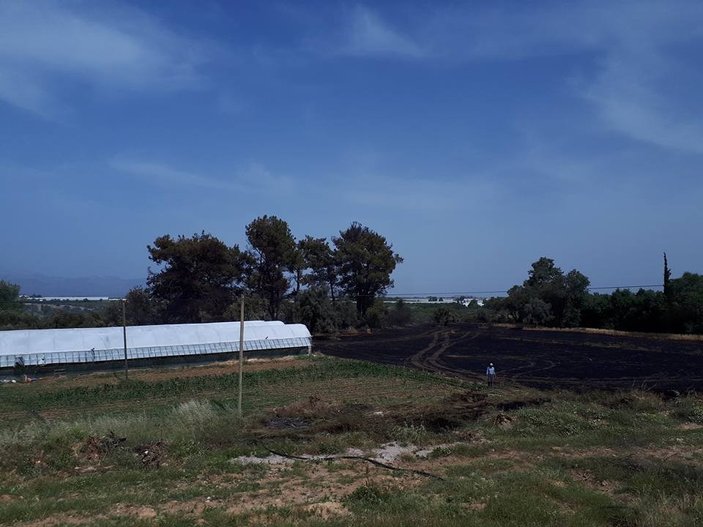 Antalya orman yangını seralara sıçramadan söndürüldü