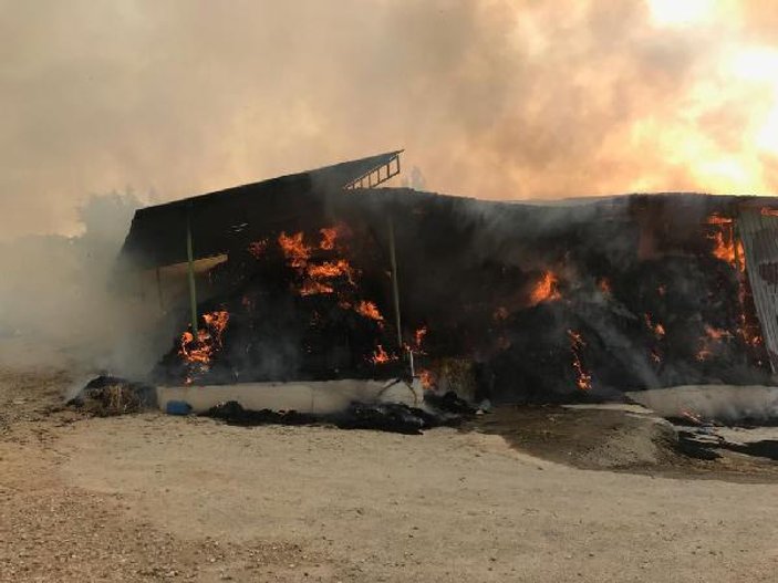 Manisa'da 15 bin balya saman yandı