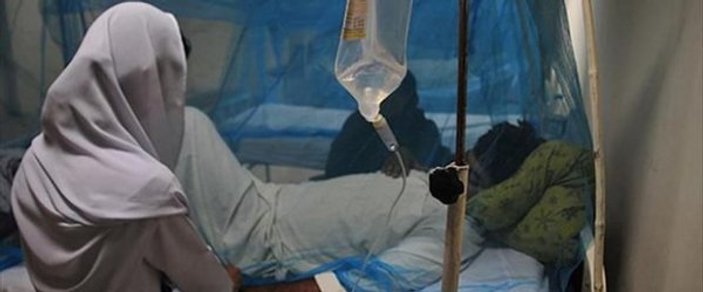Hindistan'da Nipah virüsü salgını yayılıyor