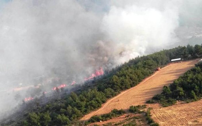 Fethiye'de 20 hektar ormanlık alan yandı