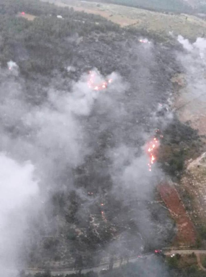 Fethiye'de 20 hektar ormanlık alan yandı
