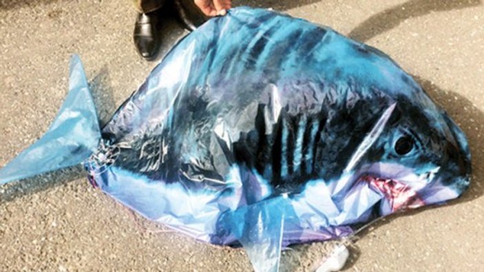 Ermenistan'da oyuncak köpek balığı paniği