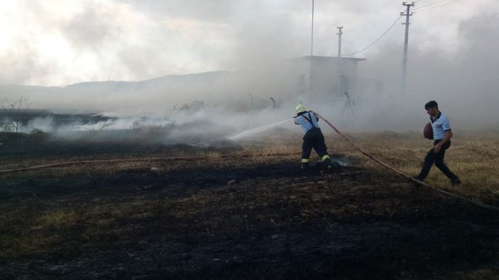 Martının çıkardığı yangında 60 dönümlük arazi kül oldu