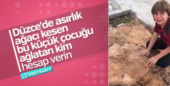 Ağaç kesildiği için ağlayan Doruk sözü kaptı