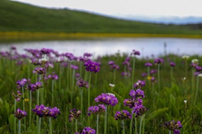 Saklı kalmış güzellik: Dipsiz Göl