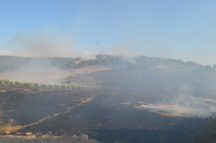 Hatay’da 7 hektarlık ormanlık alan yandı