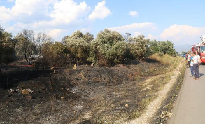 İzmir'de zeytinlik yangını