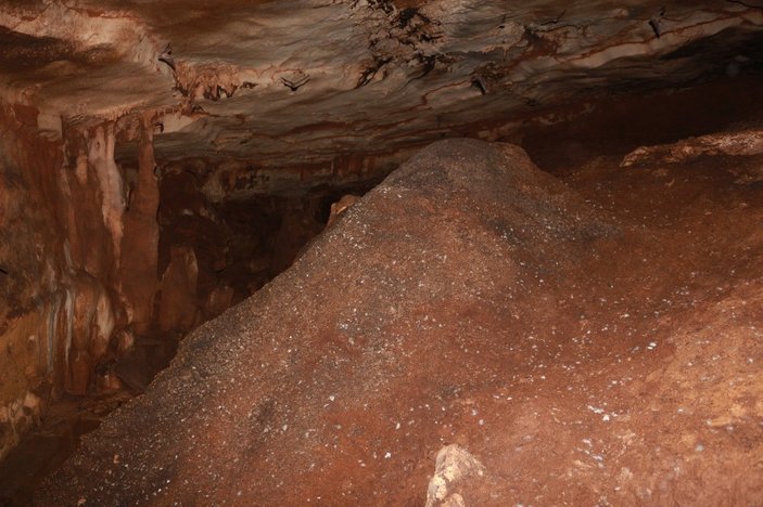 Adıyaman'da yarasa mağarası keşfedildi