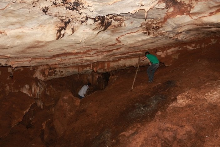 Adıyaman'da yarasa mağarası keşfedildi