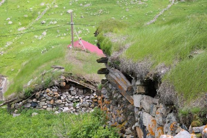 Rize'nin çim kaplı çatıları