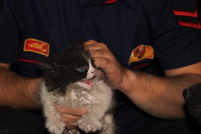 Otomobilde mahsur kalan kediye kurtarma operasyonu