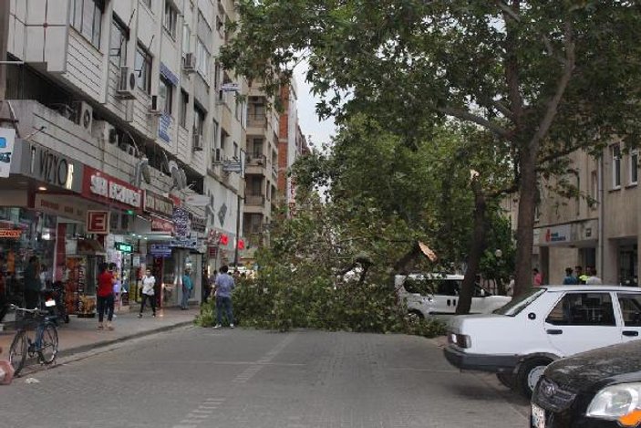 İzmir'de sağanak yağmur ve dolu, mahsullere zarar verdi