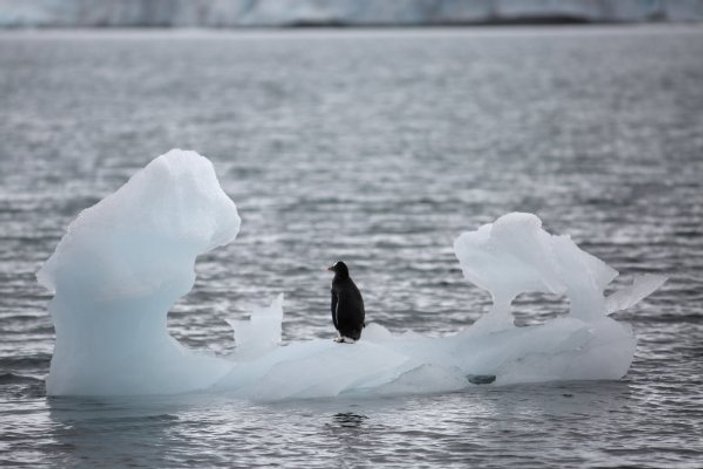 Antartika'daki buzulların erime hızı alarm veriyor