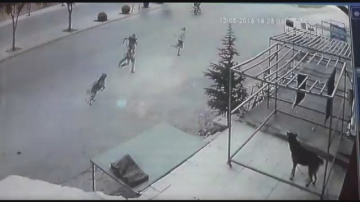 Karaman'da köpekten kaçan çocuğa otomobil çarptı