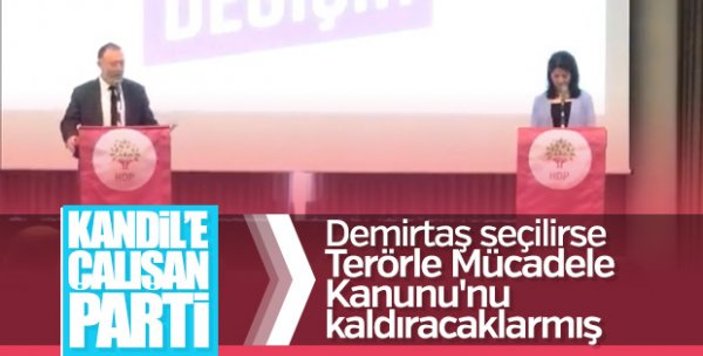HDP'nin seçim vaadi: Öcalan'a özgürlük