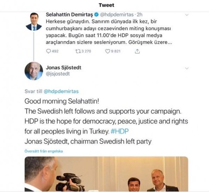 İsveç'te Demirtaş hayranı siyasetçi sandıkların başına geldi