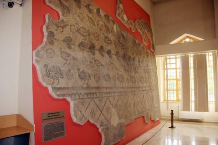 Ahırda tarihi taban mozaiği bulundu