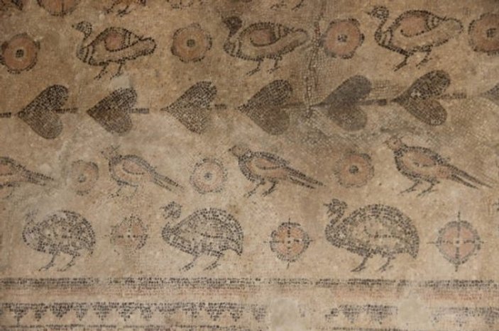 Ahırda tarihi taban mozaiği bulundu