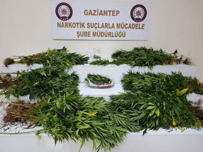 Gaziantep'te uyuşturucu operasyonu: 11 tutuklama