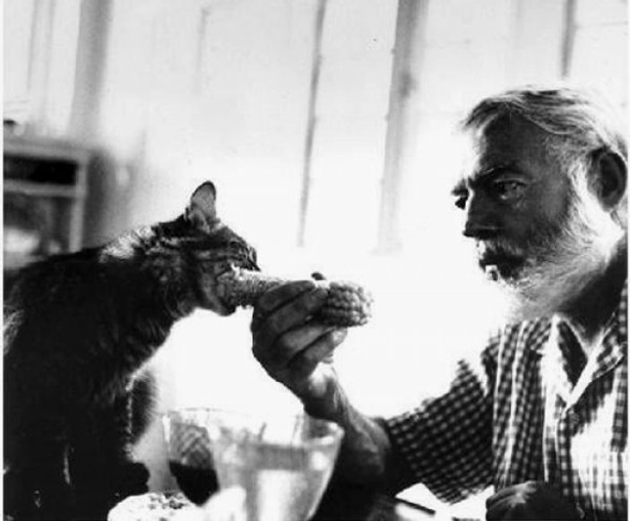 Hemingway ve kedileri
