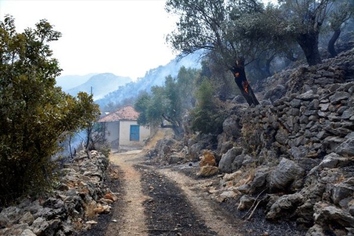 Bodrum'da 34 hektar yandı