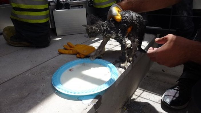 1,5 metrelik kablo borusuna sıkışan yavru kedi kurtarıldı