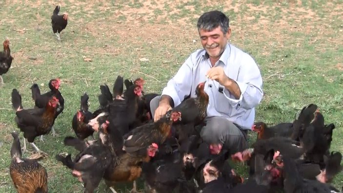 Kırıkkale’de oğlu yumurta yesin diye tavuk çiftliği kurdu