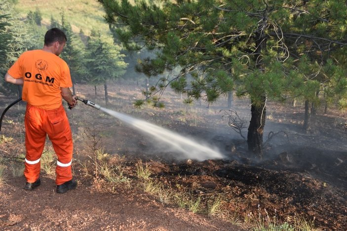 Kırıkkale’de ateş yakan çocuklar, ormanı kül edecekti