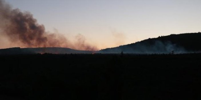 Kartal Aydos Ormanı’nda yangın