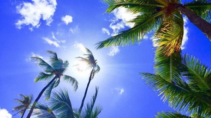 Hawaii'de güneş kremi satılması yasaklandı