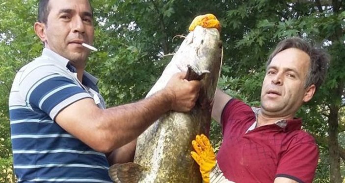Oltasına 50 kiloluk balık takıldı