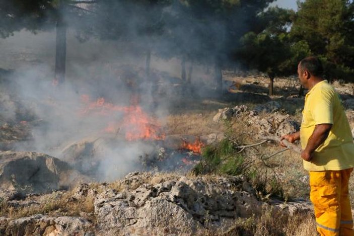 Adıyaman'da orman yangını: 10 hektar zarar gördü
