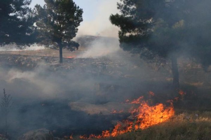 Adıyaman'da orman yangını: 10 hektar zarar gördü