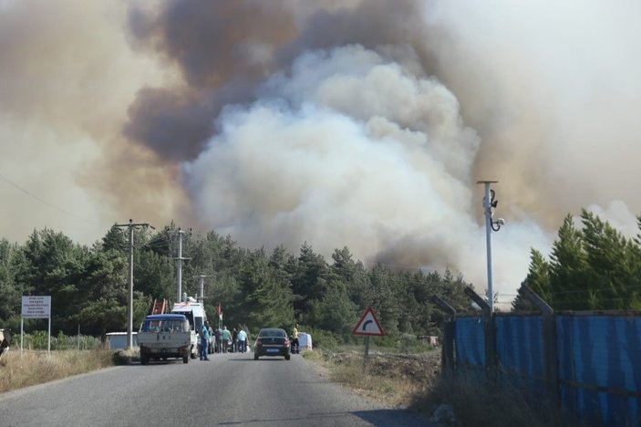 İzmir Buca'da orman yangını