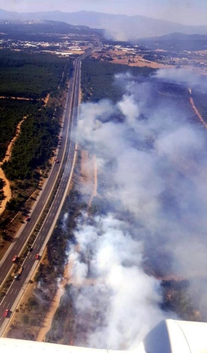 İzmir Buca'da orman yangını