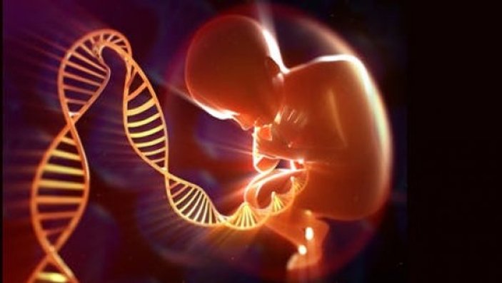 İnsan embriyosu genetik olarak değiştirilebilecek