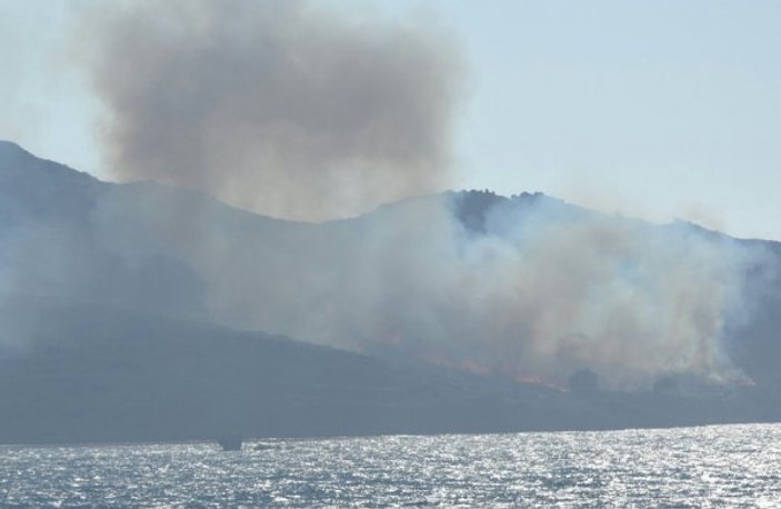 Bodrum'da çıkan yangında 40 hektar kül oldu