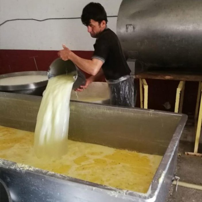 Kaşar peyniri imalathanesine baskın