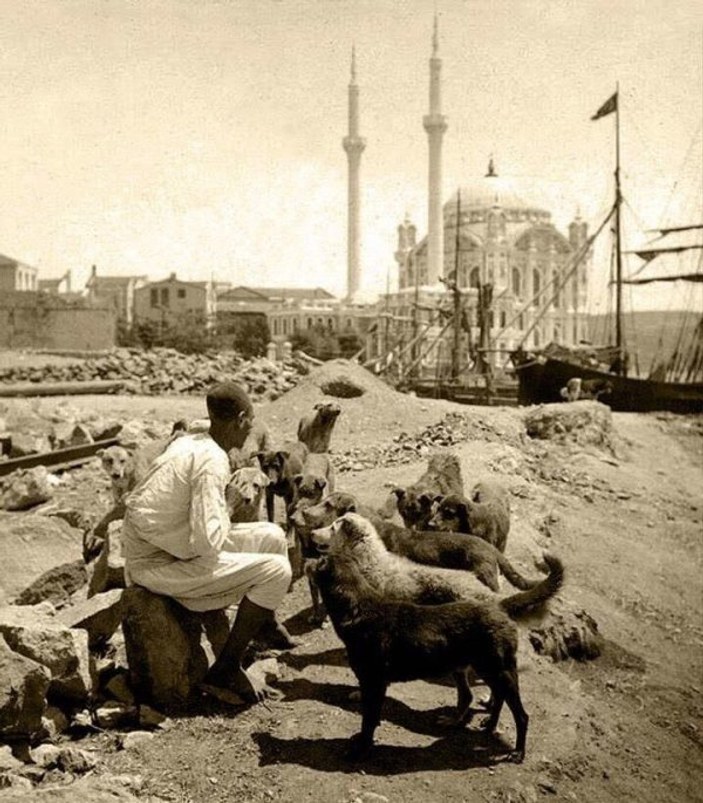 Osmanlı'da hayvan sevgisi: Mancacılık