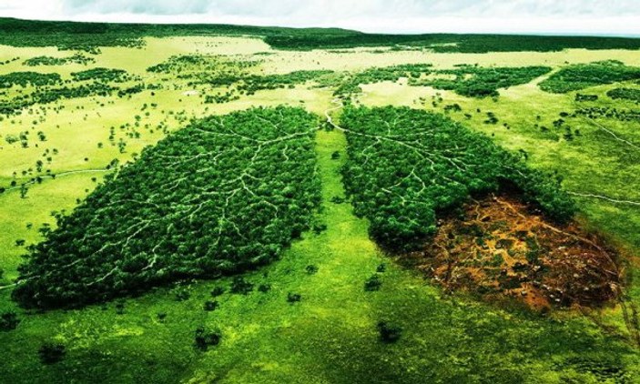 Dünya 1 yılda rekor doğal kaynak tüketti
