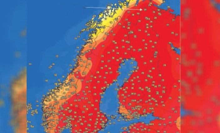 Avrupa 225 yılın en sıcağını yaşıyor